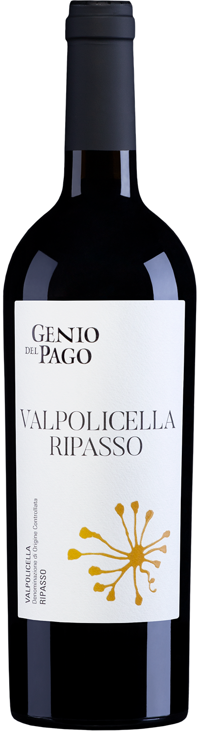 Valpolicella Ripasso | Az. Agricola Paolo Cottini